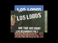 Los Lobos - What's Going On (just another band...)