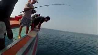 preview picture of video 'Spike catching 6 fish in one pull - Thailand'