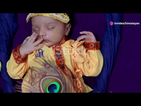 The Enlightened Journey: Life of the Buddha