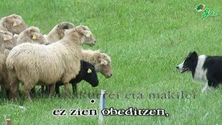 Ardiherria (Esne Beltza)