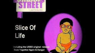 Just A Matter Of Time - Urban Street Soul Orchestra - Slice Of Life Album