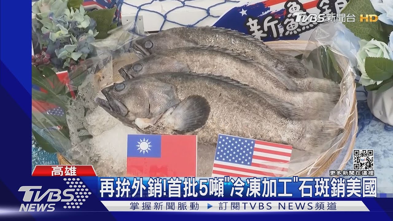 再拚外銷！首批5噸「冷凍加工」石斑銷美國