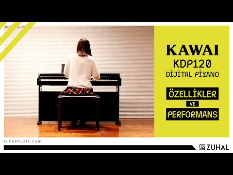 Zuhal Youtube Videos