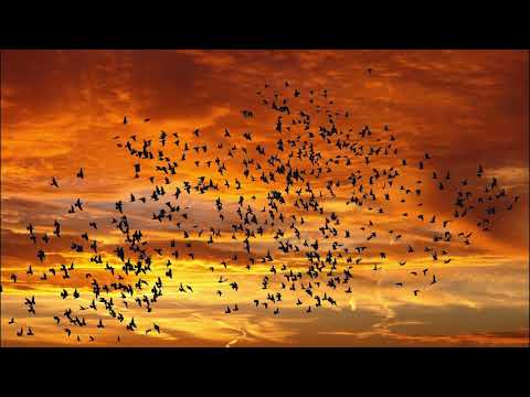 Troparul Învierii - glasul 6