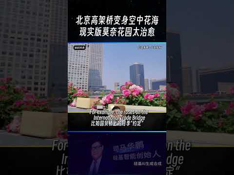Beijing's elevated highways have been transformed into a sea of ​​flowers in the sky, with roses ...