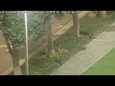 Live webcam of Disneyland Cam