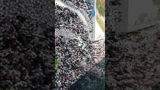 Download lagu Story wa jutaan jamaah menyambut kedatangan habib rizieq ke Indonesia 2020 mp3