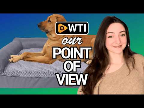 Orthopedic Dog Bed - WTI product video review