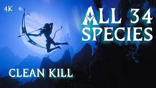 All 34 Species: Clean Kill Guide • Avatar Frontiers of Pandora