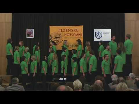 Canticorum - Nga Iwi E (maori popular), Nga I Wie, conductor #StazkaSolcova