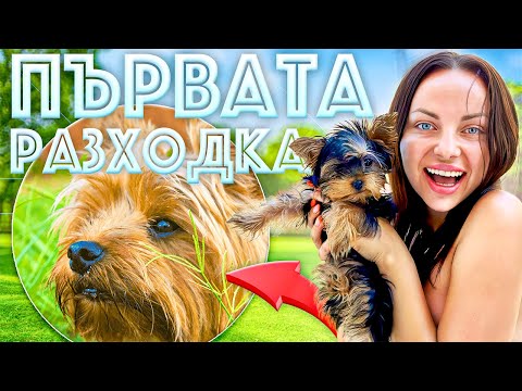 ПЪРВАТА РАЗХОДКА НА МИНИ! КАКВО СЕ СЛУЧИ? 😱