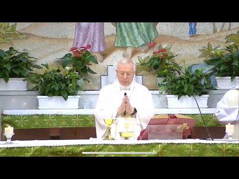 6:30 AM Mass - 14-11-2020 (English)