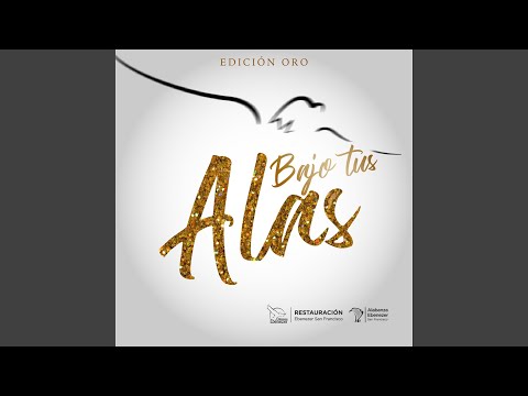 Fiesta del Señor (En Vivo)