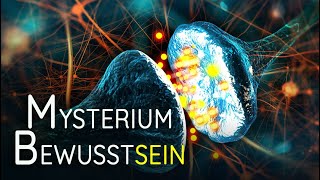 Quantica Kongress 2013 – Dem Bewusstsein auf der Spur