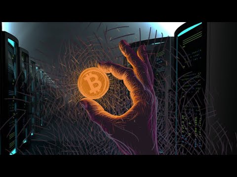 Сколько денег я получил бесплатно от Coinbase : 143 $