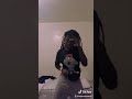 I M Bad At Twerking But I M Good A Belly Dancing