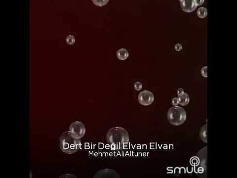 Mehmet Ali Altuner -dert bir değil elvan elvan