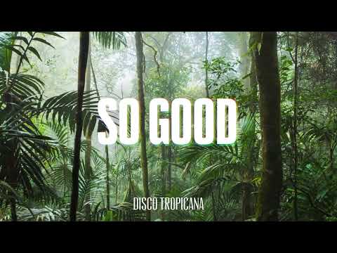 Nothing But Funk - So Good [Disco Tropicana Records 2022]