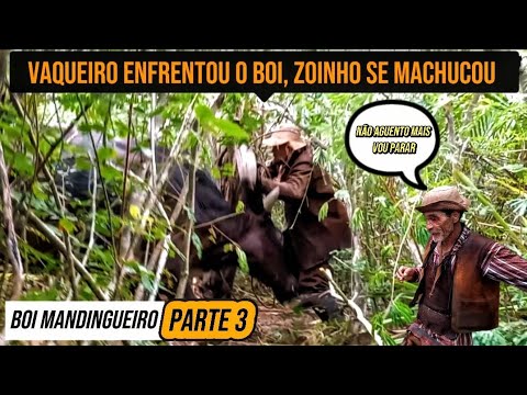 VAQUEIRO ENFRENTA O BOI, ZOINHO SE MACHUCA E PASSA O CAVALO PRA SHAMPOO - BOI MANDINGUEIRO (PARTE 3)