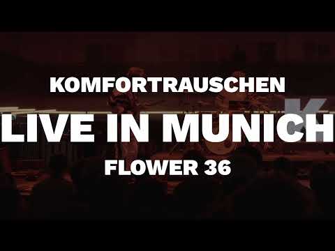 Komfortrauschen - Flower 36 (Live in Munich)