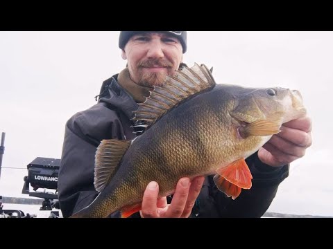 KILOT PAUKKUU | AHVENTA KALASTAMASSA!