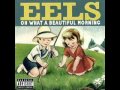 EELS-Feeling Good 