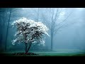 Draconian - Morphine Cloud (Lyrics)