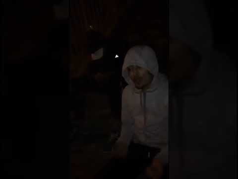 Frestyle lille pda ib zer