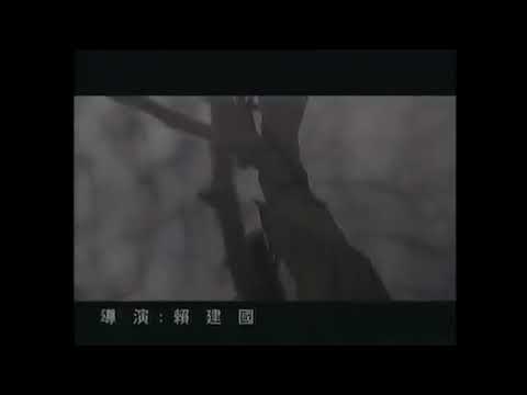 忘情水 Wang Qing Shui - 劉德華 Andy Lau