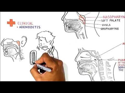Waldeyer's tonsillar ring