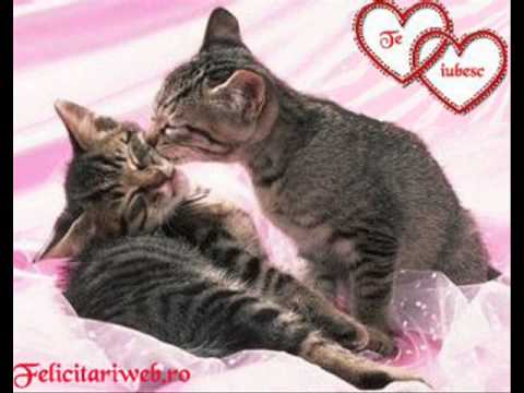 DaOne - Tu esti inima mea ft. Karina