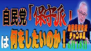 島田名誉教授チャンネルメ　0618LIVE　自民党「保守派」は何をしたいのか！ #島田洋一#高市早苗 #太陽光発電 #バイデン大統領#エマニュエル 大使  #LGBT  #国費外国人留学生