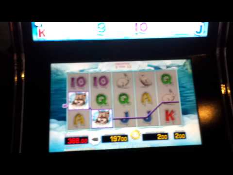 Merkur Spielhalle Snow Wolf rastet in Freispielen NICHT AUS 2€ Fach/ TOTALES FLOPP  HD, Hq