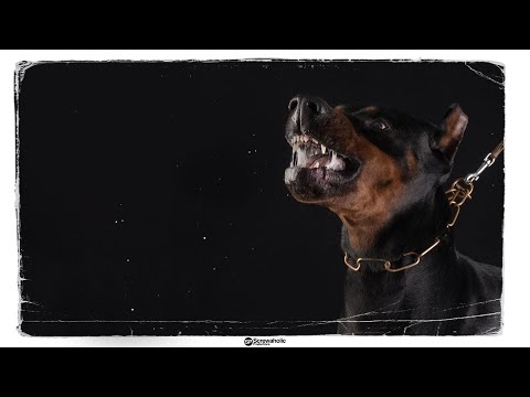 Hard Boom Bap Instrumental x Rome Streetz Griselda Type Beat - "Savage" [FREE]