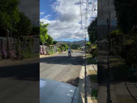 Chasing 100: The Essence of the Blue Zone in Hojancha