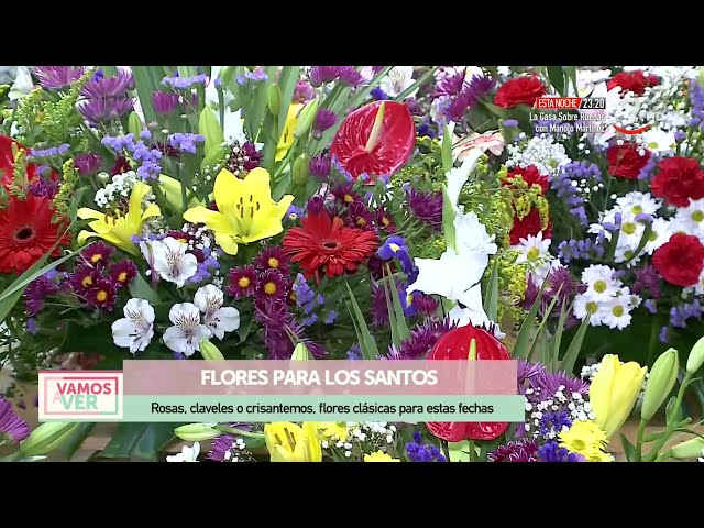 Vídeo relacionado con FLORES SOLIDARIAS - Ramos de Flores Naturales Rosas Rojas para Condolencias, Día de Todos los Santos, Semana Santa y Ocasiones Especiales - Ofrenda Floral Fresca y Solidaria con Envío 24 h