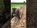 Potato Harvesting Driverless Power Tiller Machine