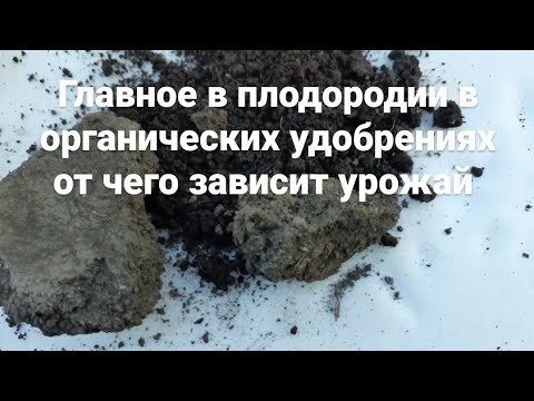 Плодородие почвы как сделать почву для огорода повысить Урожай урожайность