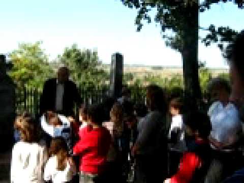 Zaboravljeni srpski pesnik  VOISLAV ILIC  MLADJI