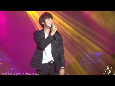 20140902 정동하 - 거위의꿈 in 의성