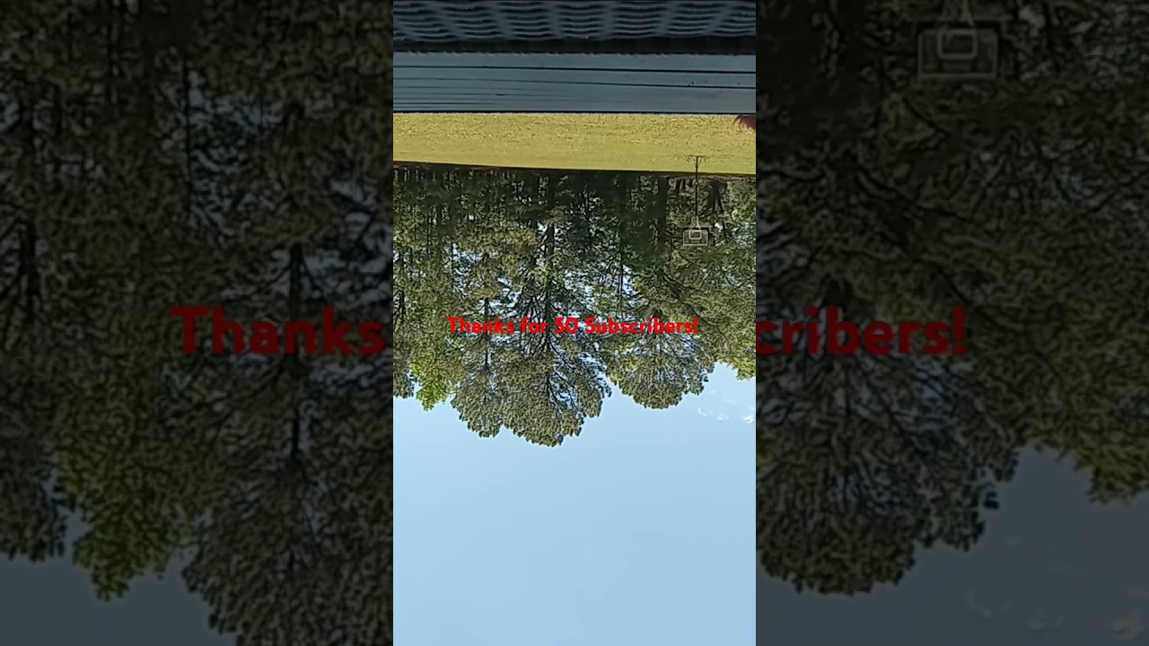 Thanks for 50 Subscribers! (Upside Down) #alf #funny #alftvshow #comedy #nostalgia