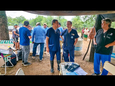 Con asistencia de especialistas se benefició a más de 12 mil pacientes del interior provincial