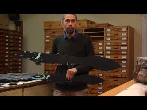 Dr Robert Gess finds the oldest four legged animals in Africa