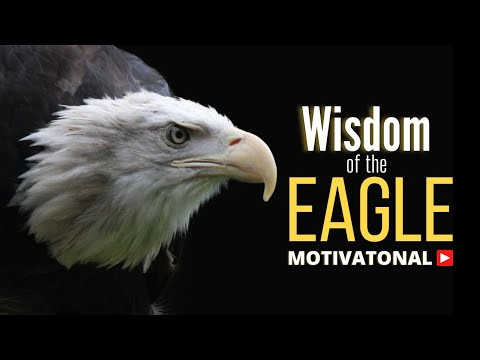 Wisdom of the Eagle | Eagle mentality Motivational video