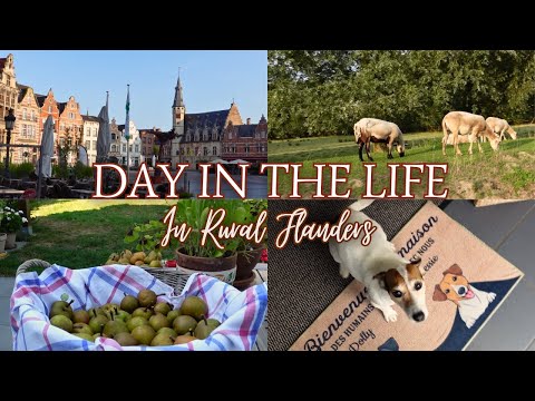 Day in the Life | Workday in Dendermonde: Grape & Pear Harvest, Flemish Dinner & Cozy Garden Moments