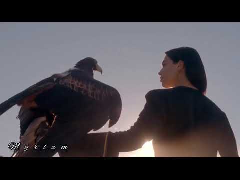 Алимханов А ~  Deja Vu (Blue System Live Demo Cover)