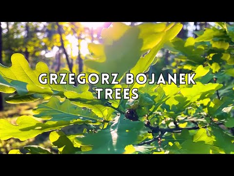 Grzegorz Bojanek - Trees (official video) #trees #ambient #officialvideo