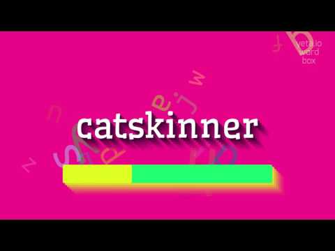 CATSKINNER - HOW TO PRONOUNCE CATSKINNER? #catskinner