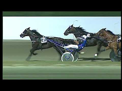 Napoli Trotto 19/06/2021 - 7ª corsa