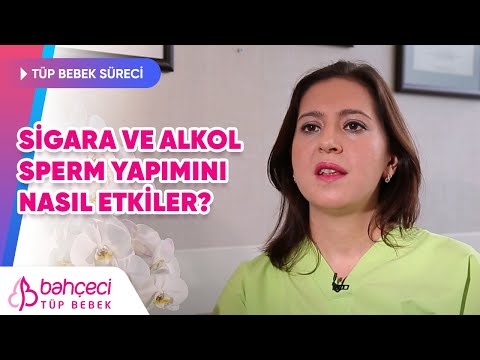 Sigara ve Alkol Sperm Yapımını Nasıl Etkiler?